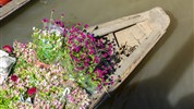 Stopover v Saigonu a v deltě řeky Mekong