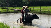 Okruh - Vietnam -  Památky UNESCO + pobyt u moře - Hoi An - jízda na buvolu
