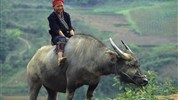 Okruh - Objevte severní Vietnam a Sapu s českým průvodcem - Sapa - život je o radosti