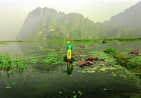 NInh Binh - mokřady