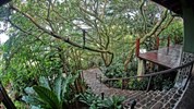 Luxusní Kostarika s českým průvodcem - Monteverde - Ele Establo Mountain Lodge