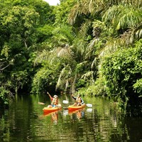 Boena Tortuga Lodge - Tortuguero - Tortuga Lodge and Gardens - ckmarcopolo.cz