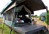 Putování za velkou pětkou a jezera Nakuru a Naivasha -  s českým průvodcem