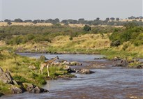 Safari v Masai Mara -  řeka Mara