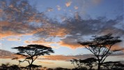 Luxusní Masai Mara s leteckým transferem - Safari v Masai Mara - ranní safari