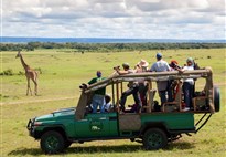 Safari v Masai Mara - ranní safari