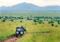 Safari v Masai Mara