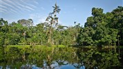 Prodloužení zájezdu do Ekvádoru o Amazonii - Bolivijská amazonie - panenská příroda