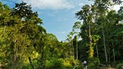 Prodloužení zájezdu do Ekvádoru o Amazonii - Bolivijská amazonie - Sani lodge