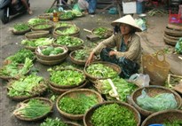 Hoi An trh