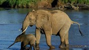 6 parků – Jezera Naivasha a Nakuru, Hell´s Gate,  Aberdare, Samburu a Ol Pejeta - český průvodce