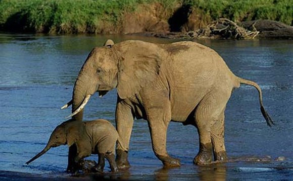 Marco Polo - Samburu - národní rezervace - informace