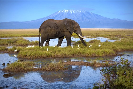 Marco Polo - Amboseli - národní park - informace