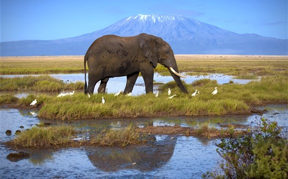Marco Polo - Amboseli - národní park - informace