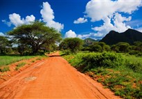 Safari v Keni s Marco Polo_Tsavo West