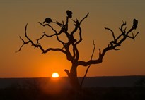 Safari v Krugerově NP_západ slunce