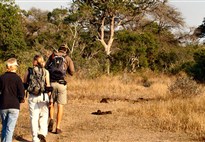 Pěší safari v Krugerově parku s Marco Polo