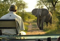 Safari v Krugerově parku s Marco Polo