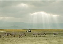 Tanzanie_Ngorongoro_