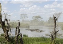 Tanzanie_Serengeti_