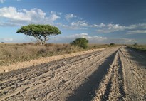 Tanzanie_cesta ze Serengeti k jezeru Manyara