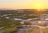 Tanzanie_jezero Manyara