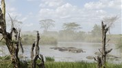 Safari v Tanzanii - Klenoty severní Tanzanie s českým průvodcem