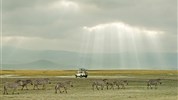 Safari okruh severní Tanzanií  + Zanzibar