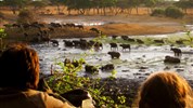 Luxusní safari v Tanzanii - Tarangire, Ngorongoro, Serengeti a pobyt u moře na Zanizibaru - Tanzanie_Tarangire_safari.
