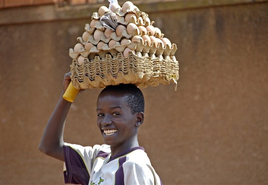 Expedice v náklaďáku nejen za gorilami s anglickým průvodcem -  - 