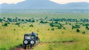 Velká migrace v Masai Mara