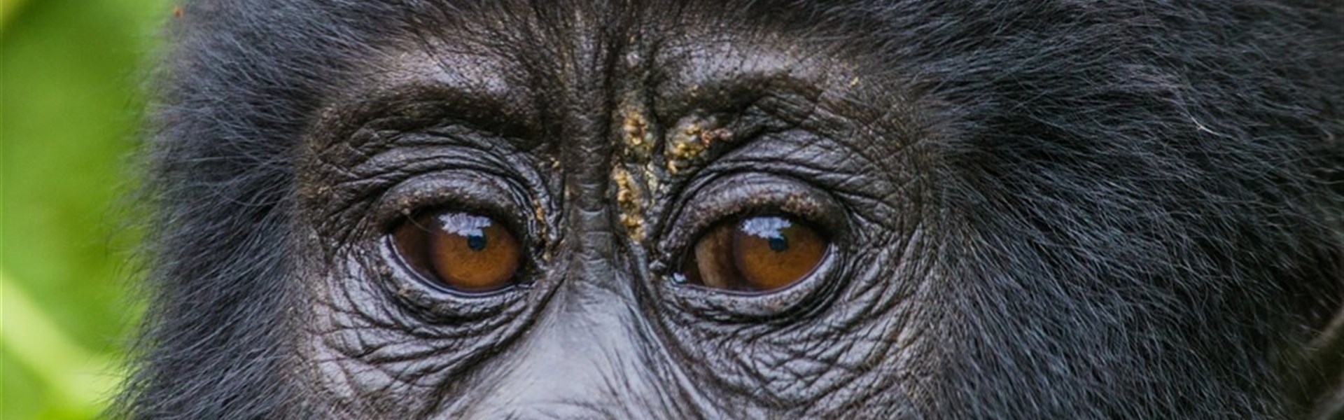 Safari v Ugandě - Cesta za gorilami s českým průvodcem - 