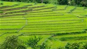 Putování Thajskem trochu jinak a Laos