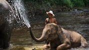 Putování Thajskem trochu jinak a Laos