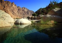 Wadi Tiwi