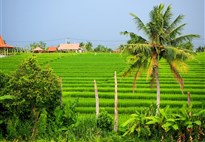 BALI A LOMBOK SPECIÁL NA 21 NOCÍ