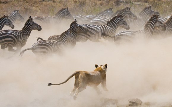 Marco Polo - Masai Mara - národní rezervace - informace