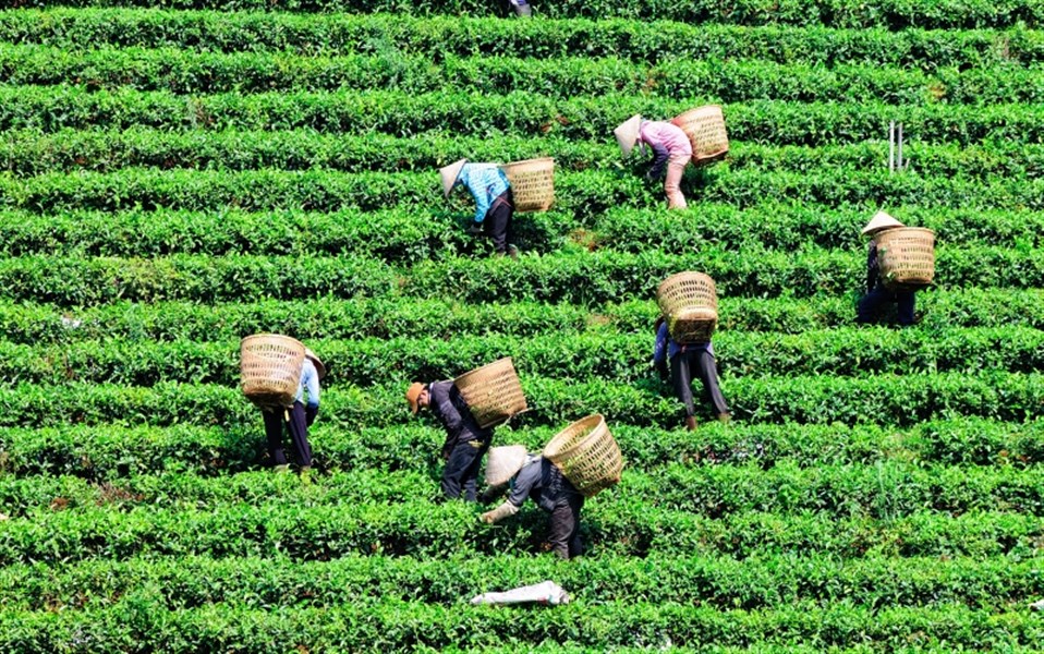 Luxusní Vietnam - Od severu k jihu a pobyt u moře