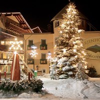 Ferienhotel Alber (W) - ckmarcopolo.cz