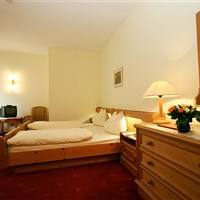 Ferienhotel Alber (S) - ckmarcopolo.cz