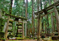 Koyasan, Japonsko