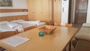 Apartmány Alpina Mountain Resort***+ - zima 21/22