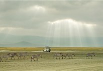 Safari v Tanzanii - To nejlepší ze severní Tanzánie s českým průvodcem