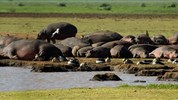 Tanzanie -  plameňáci u jezera Natron a mnohem více