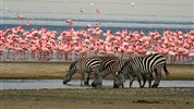 Safari a odpočinek na Zanzibaru s českým průvodcem