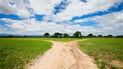 Safari v Tanzanii - To nejlepší ze severní Tanzánie s českým průvodcem