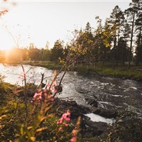 VAATTUNKI WILDERNESS RESORT - ckmarcopolo.cz