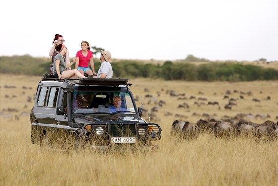 Putování za velkou pětkou v Masai Mara a jezera Nakuru a Naivasha - český průvodce - Safari v Keni_Masai Mara