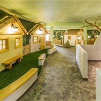 Hotel Schneeberg - ckmarcopolo.cz