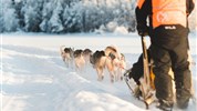 Zimní Helsinky a Polární Kruh - vlakem i s psím spřežením